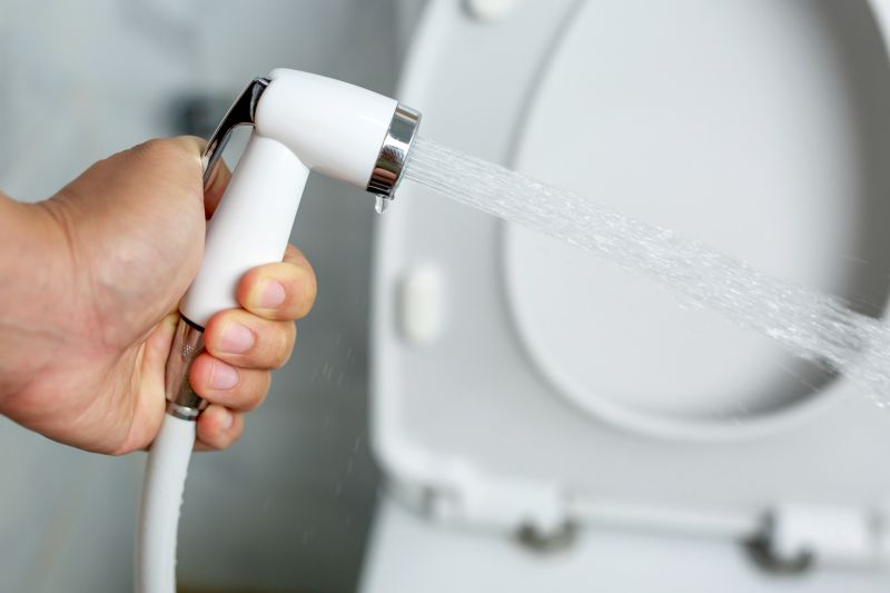 Cost of Bidet Repair Service in Valrico, FL