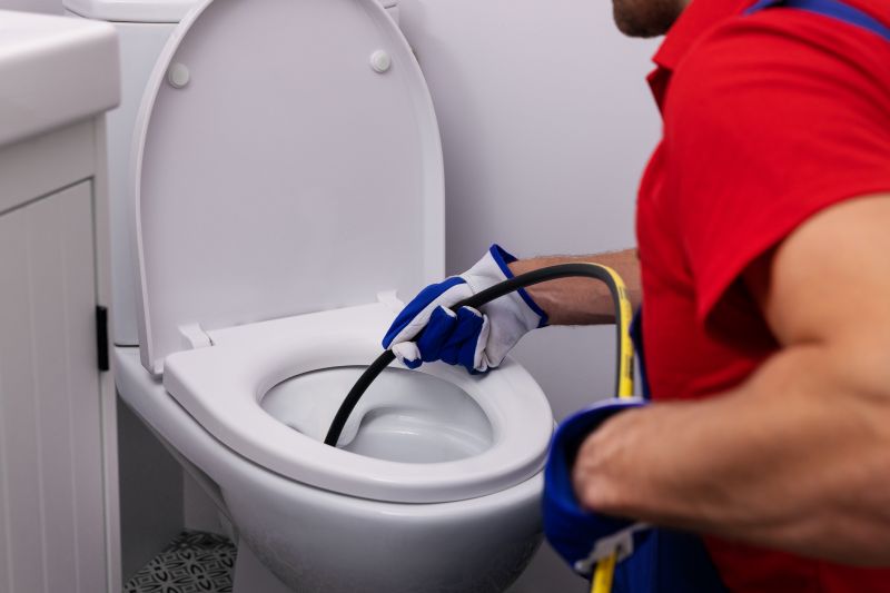 Cost of Toilet Snaking in Valrico, FL
