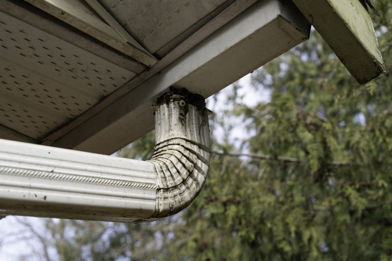 Drain Line Replacement detail
