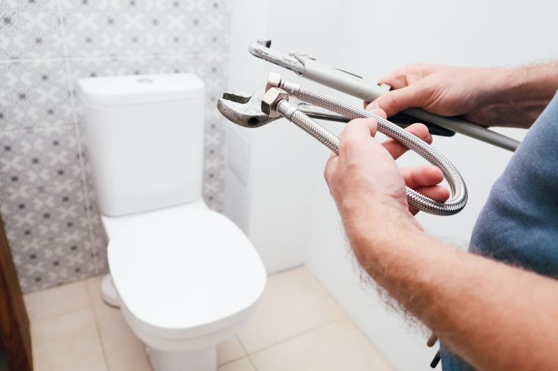 Toilet Plunging detail