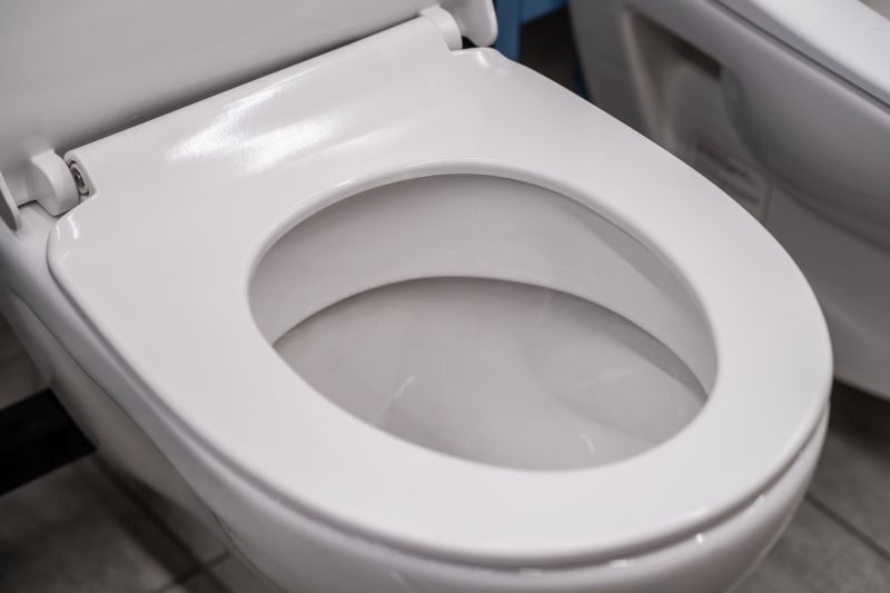 Toilet Repair detail